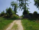 Le camp d'artus 