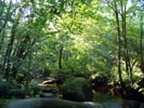 La Rivière d'Argent (Huelgoat)