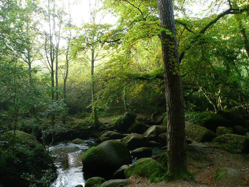 fond d'&eacute;cran de la rivi&egrave;re d'argent (Huelgoat)
