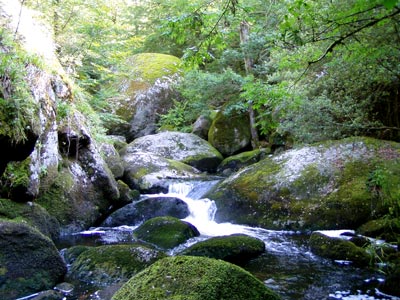 La Mare aux Fées