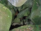 Le Ménage de la Vierge