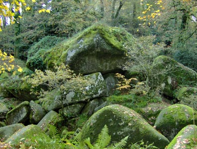 Le Ménage de la Vierge